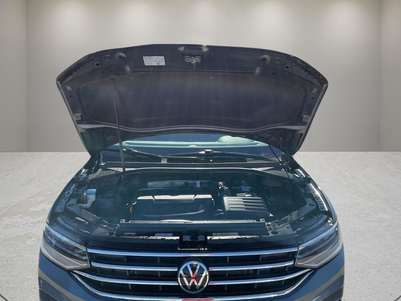 2024 Volkswagen Tiguan Trendline 4dr All-wheel Drive 4MOTION Photo