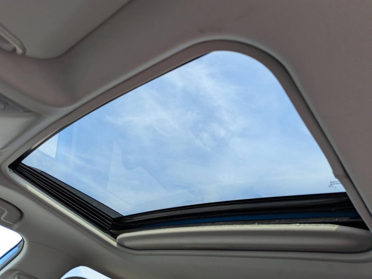2019 Toyota RAV4 AWD Trail Photo