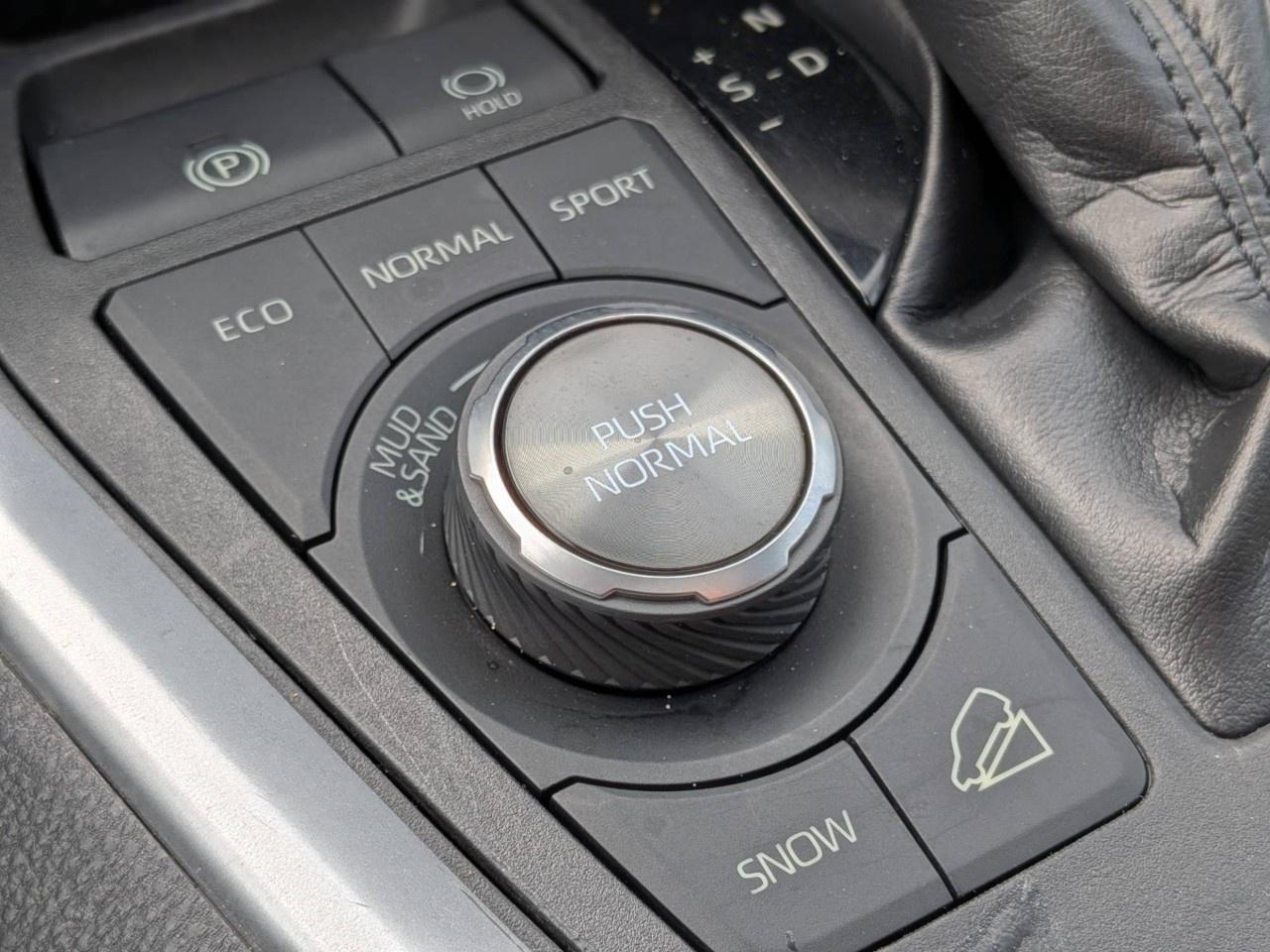 2019 Toyota RAV4 AWD Trail Photo