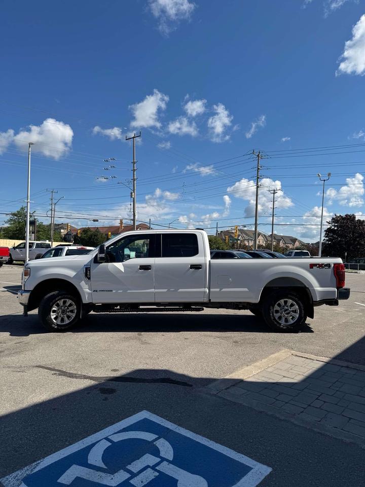 2020 Ford Others XLT 4WD Crew Cab 8' Box Photo