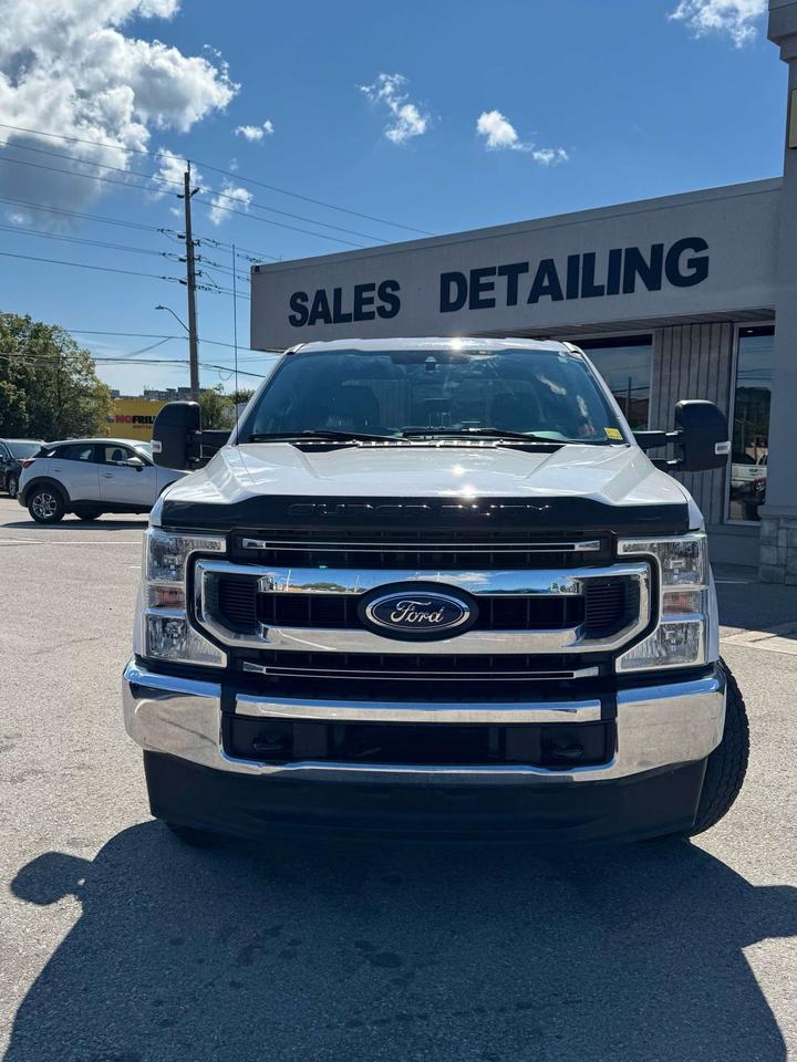 2020 Ford Others XLT 4WD Crew Cab 8' Box Photo