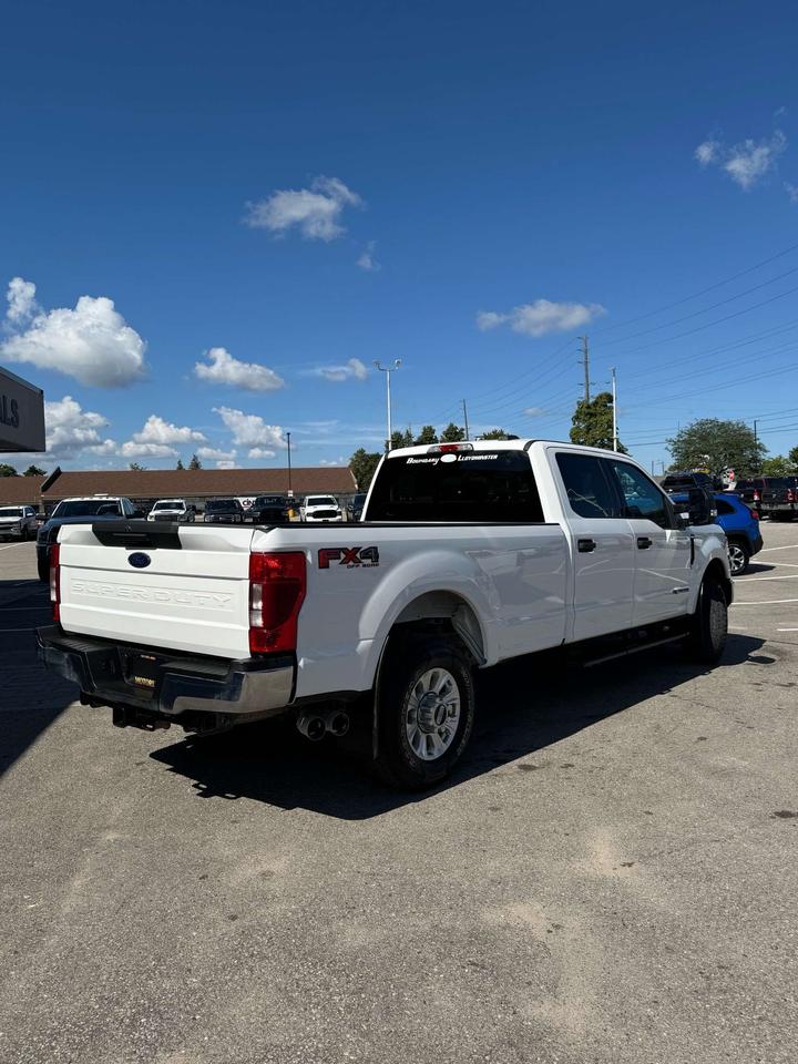 2020 Ford Others XLT 4WD Crew Cab 8' Box Photo