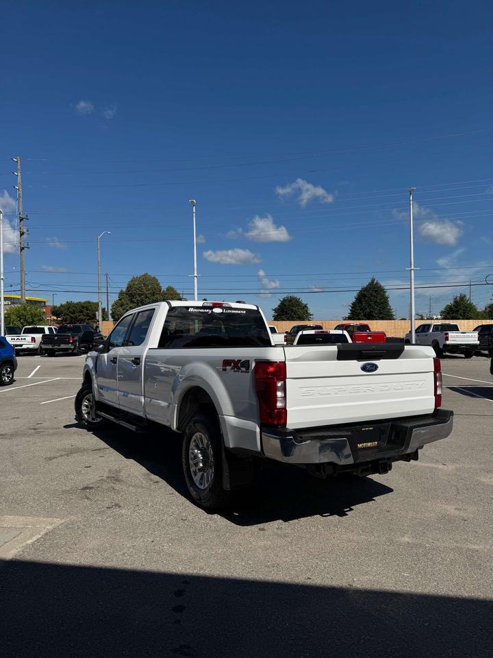2020 Ford Others XLT 4WD Crew Cab 8' Box Photo