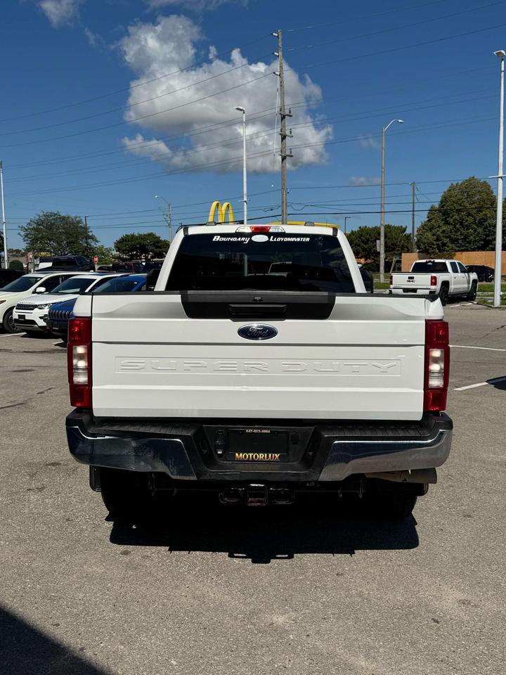 2020 Ford Others XLT 4WD Crew Cab 8' Box Photo