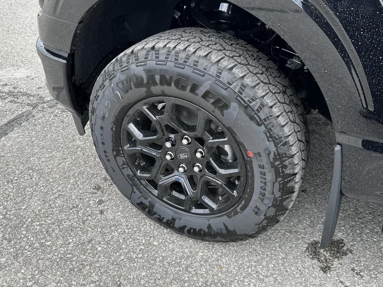 2026 Ford F-150  Photo