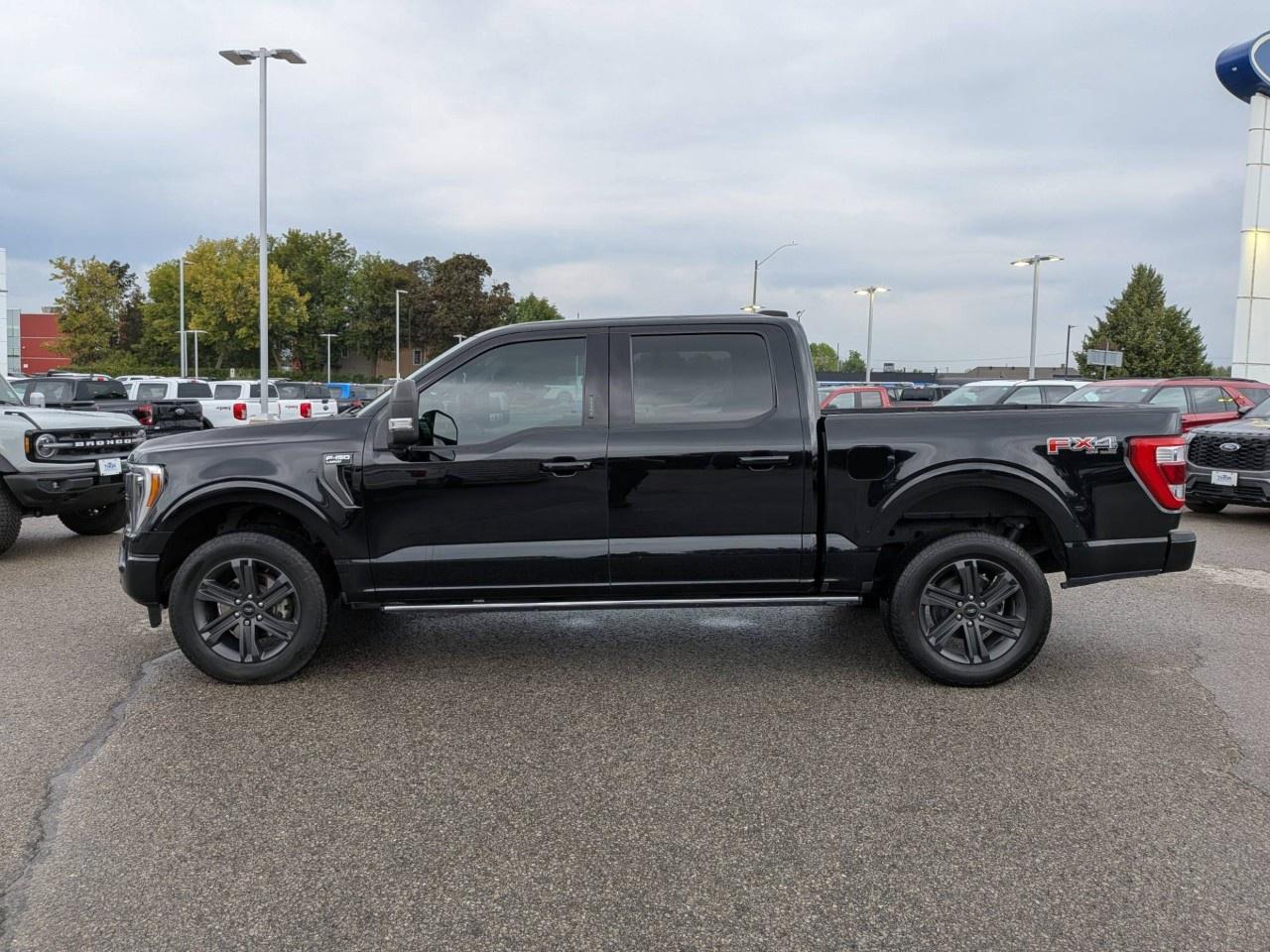 2023 Ford F-150  Photo