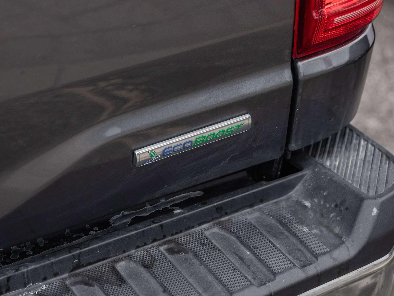 2021 Ford F-150  Photo