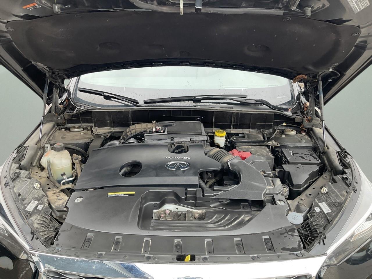 2023 Infiniti QX55 SENSORY 4dr All-Wheel Drive Photo