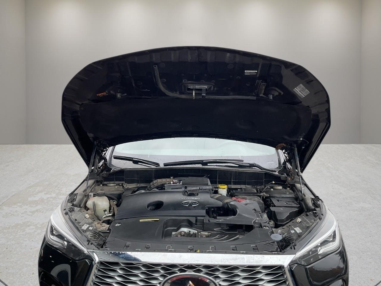 2023 Infiniti QX55 SENSORY 4dr All-Wheel Drive Photo