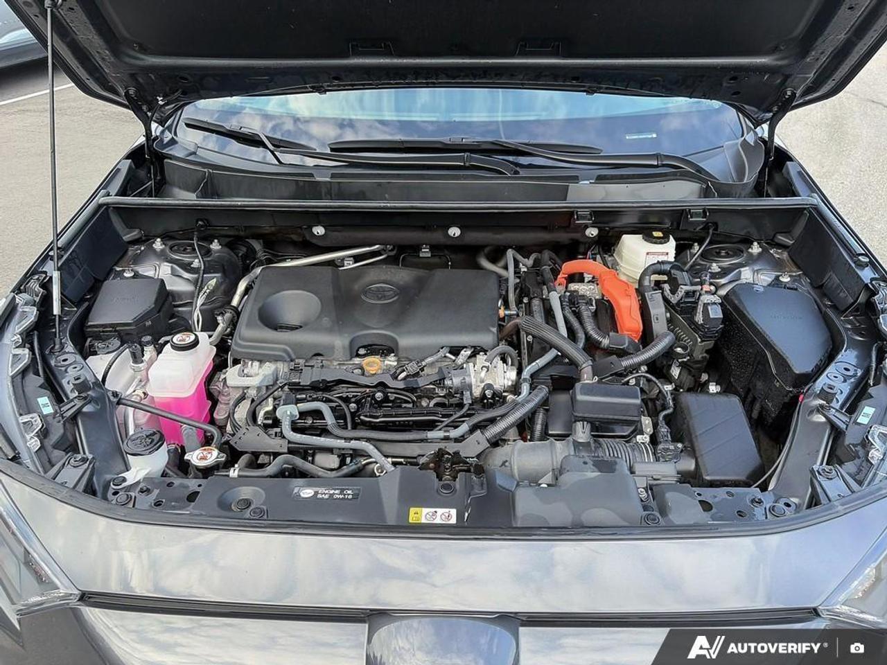 2025 Toyota RAV4 Hybrid LE 4dr All-Wheel Drive Photo