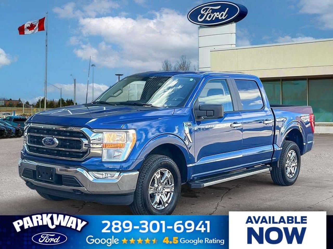 2023 Ford F-150 XLT   300A   TAILGATE STEP   3.5L V6 Photo