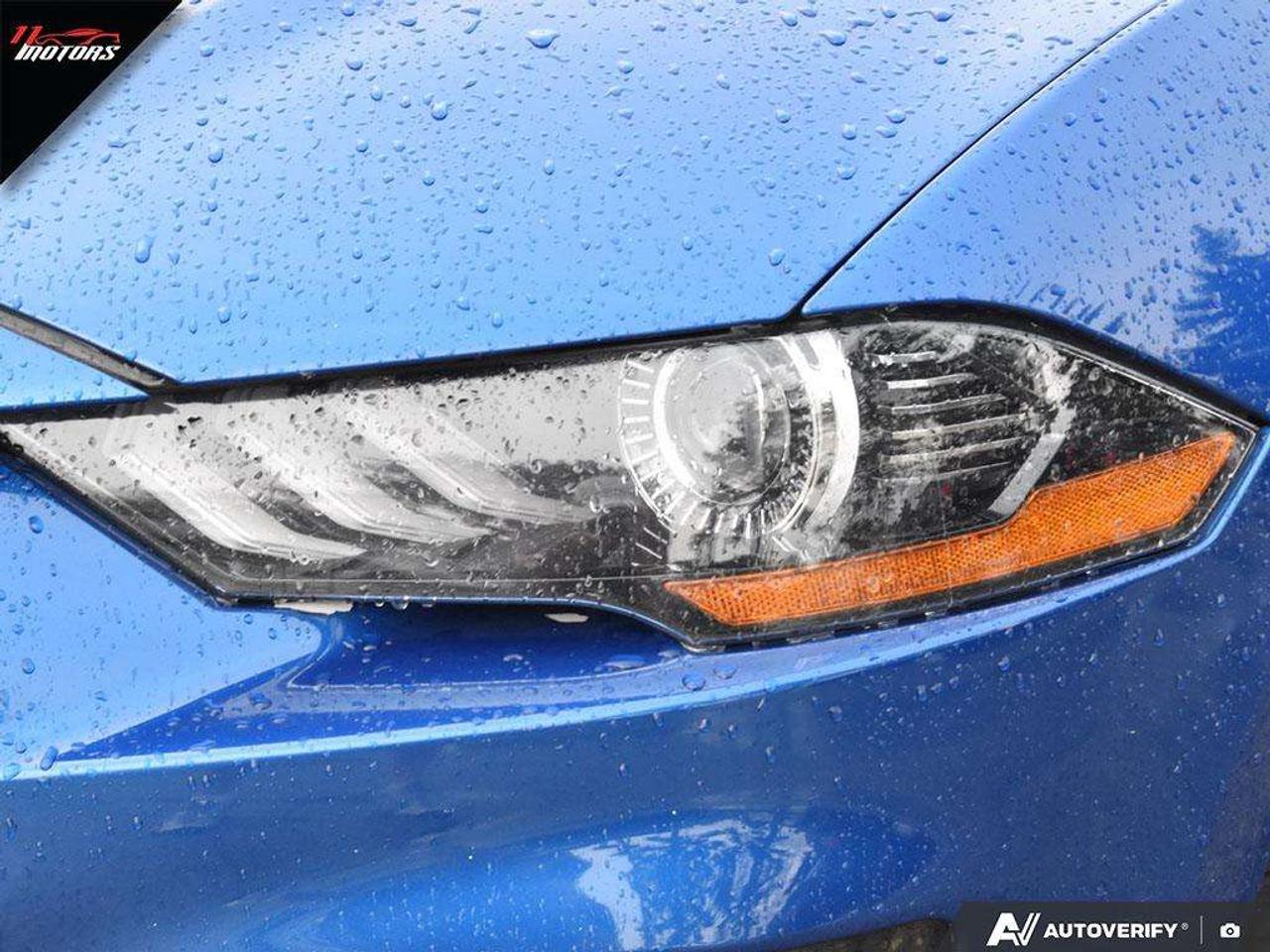 2018 Ford Mustang GT Premium Convertible   LOADED   NO ACCIDENTS Photo