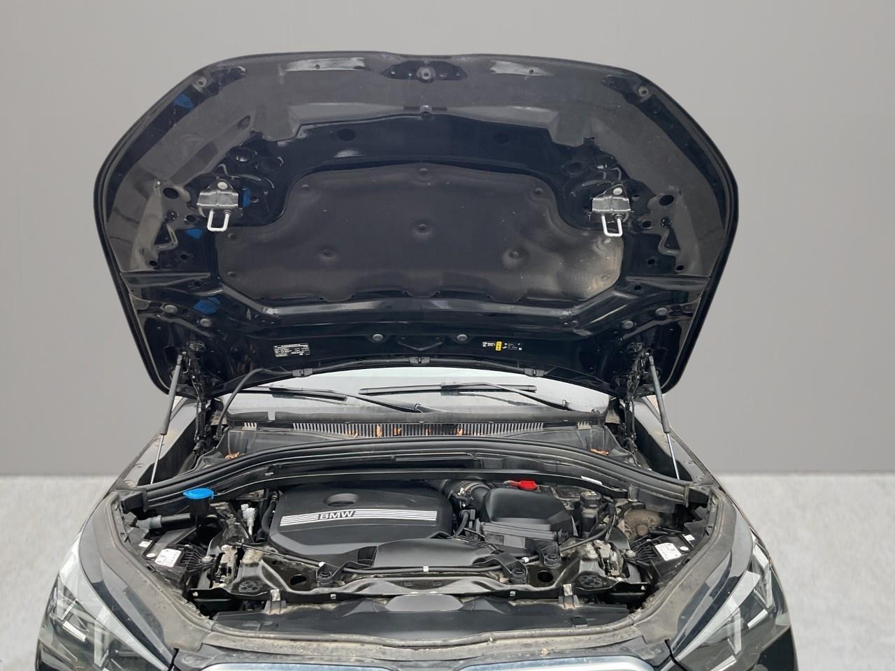 2025 BMW X2 xDrive28i 4dr All-Wheel Drive Sports Activity Coupe Photo