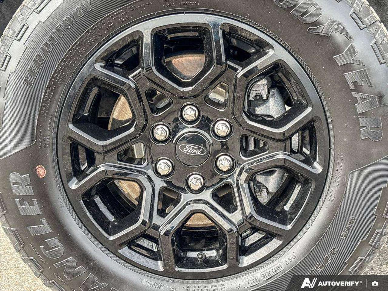 2024 Ford F-150 XLT   XLT BLK APP PKG   360 CAMERA Photo