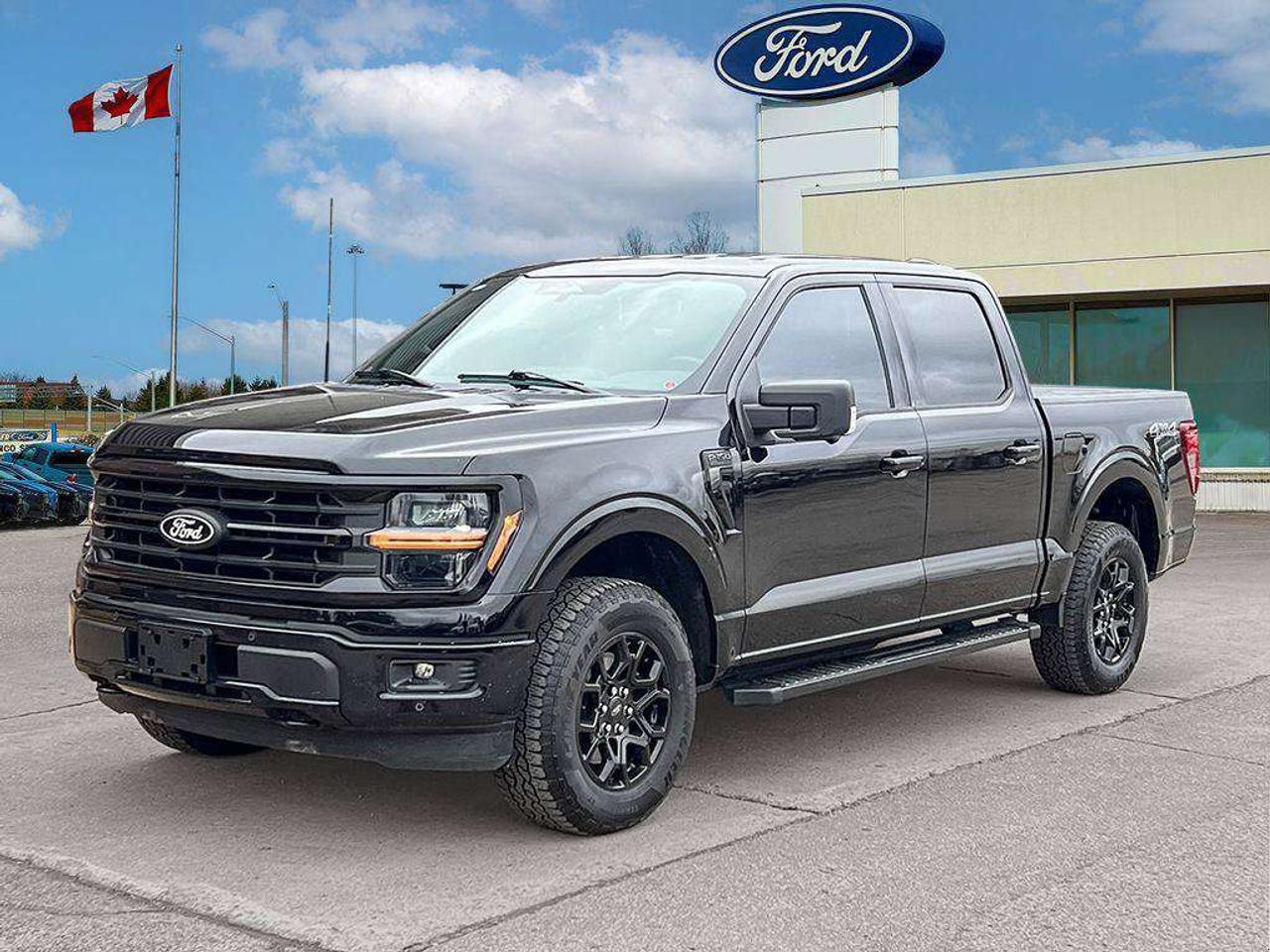 2025 Ford F-150 XLT   360 CAMERA   18 BLK ALLOY RIMS Photo