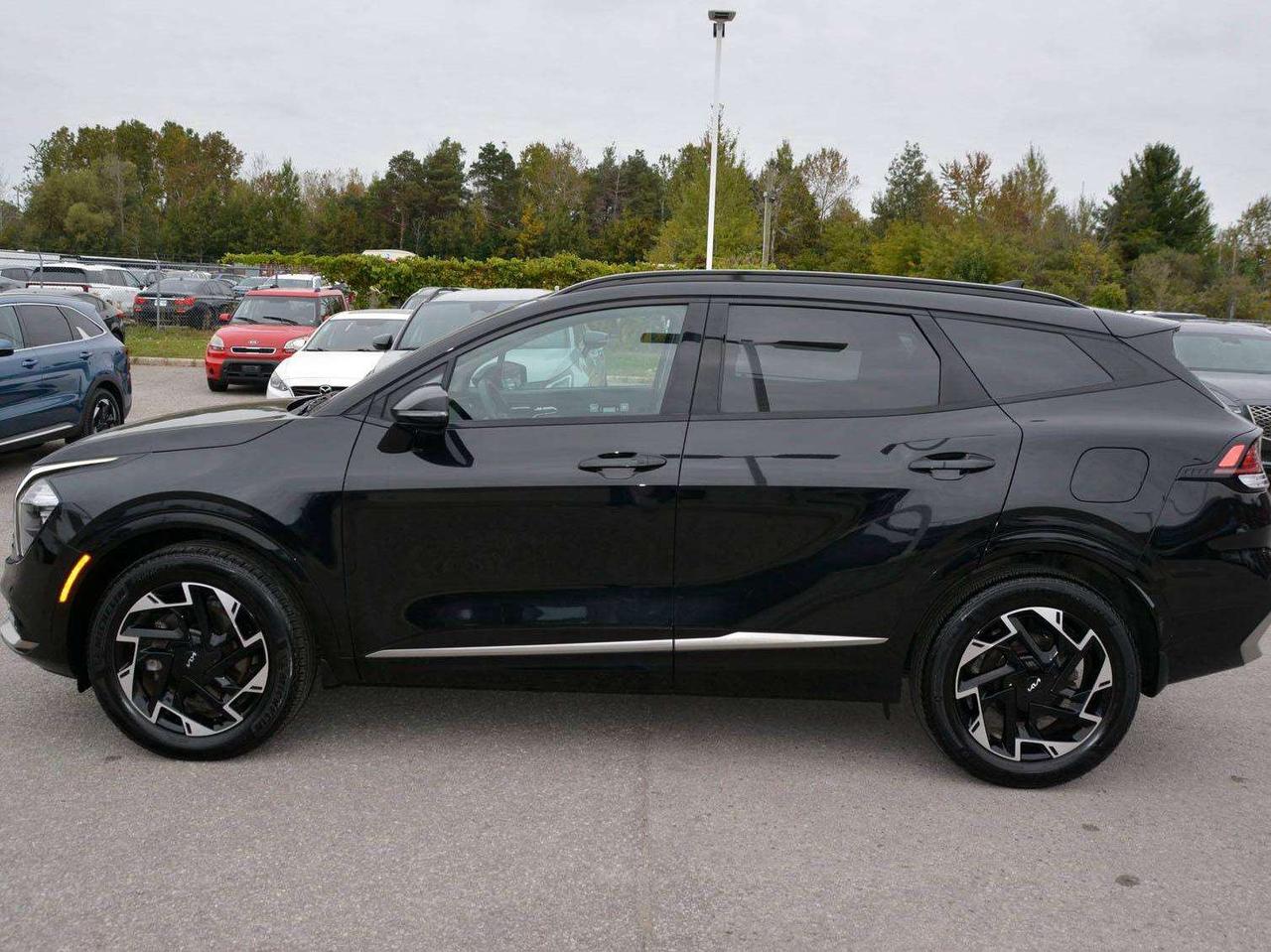 2024 Kia Sportage EX Photo