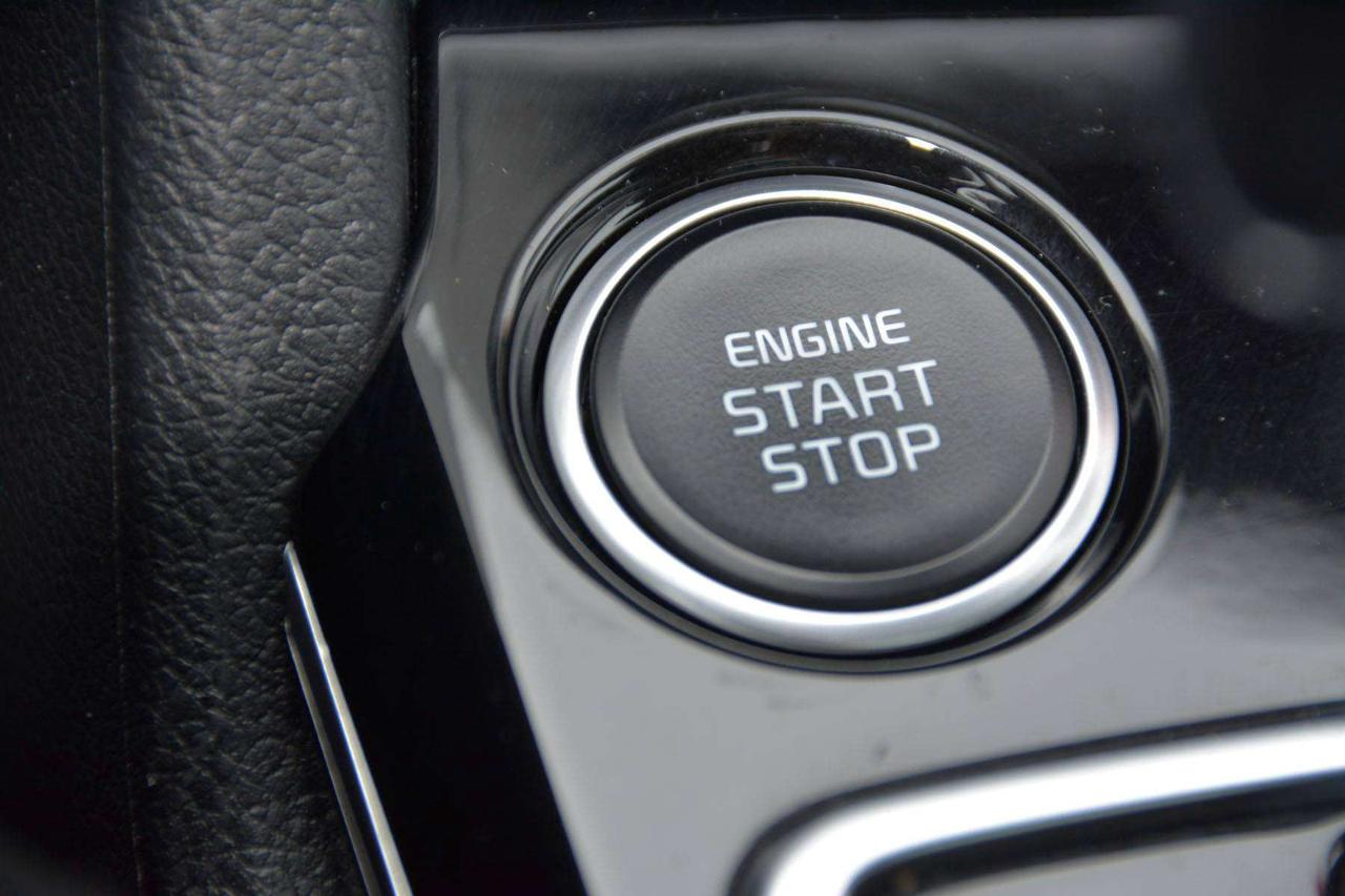 2024 Kia Sportage EX Photo