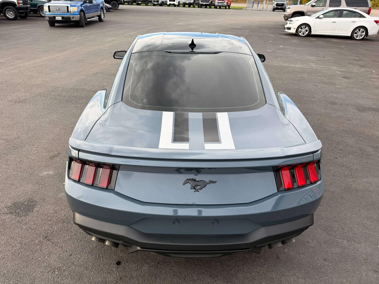 2024 Ford Mustang GT Premium Photo