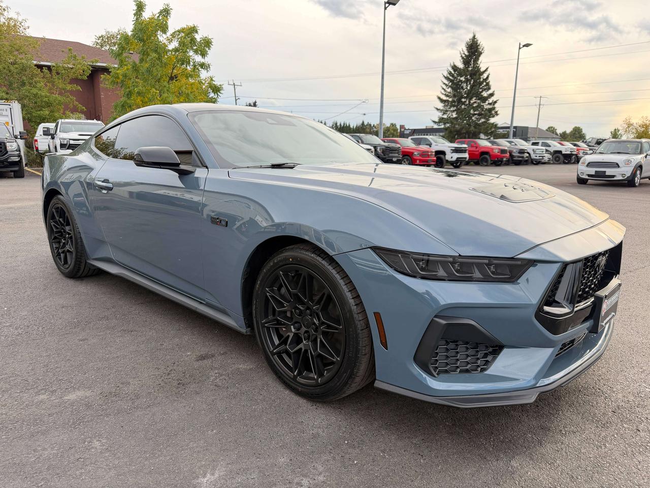 2024 Ford Mustang GT Premium Photo