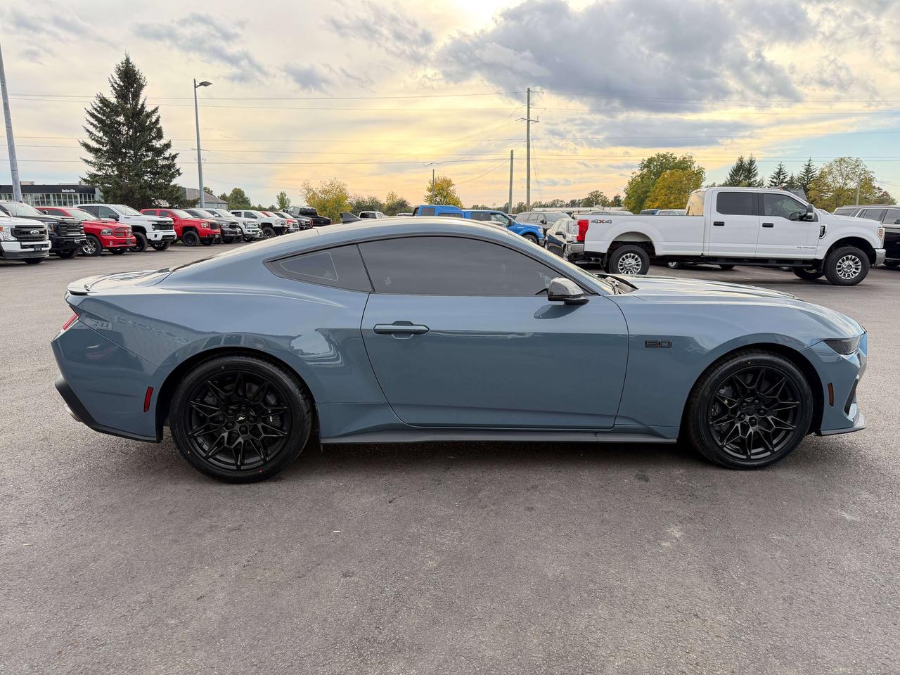 2024 Ford Mustang GT Premium Photo