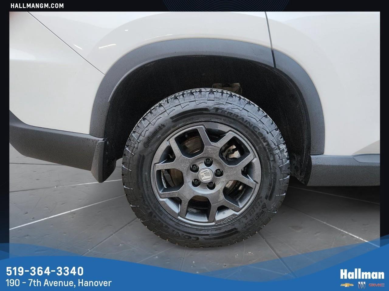2025 Honda Pilot TrailSport 4dr All-Wheel Drive Photo