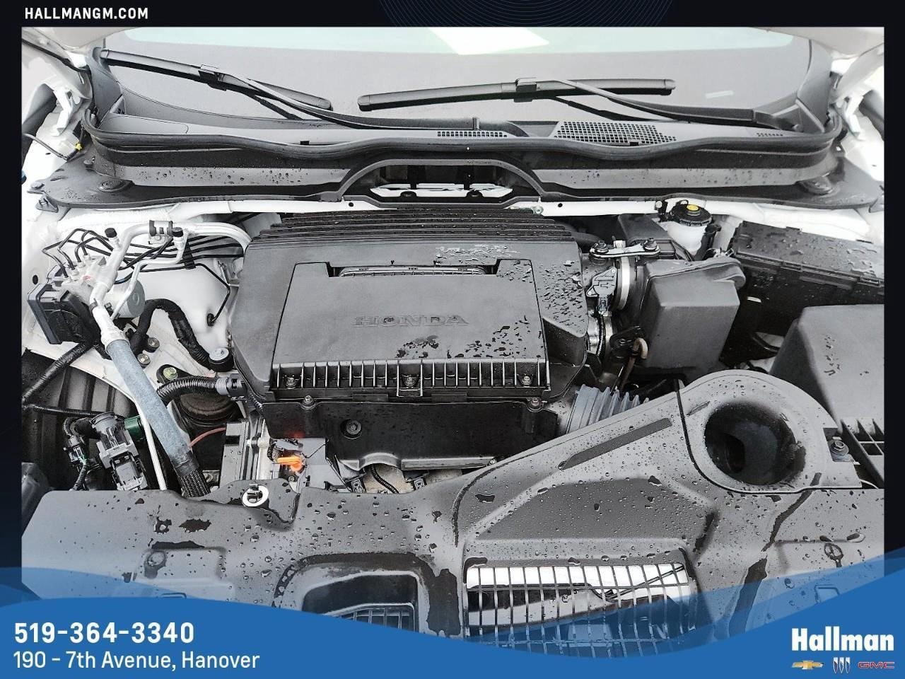 2025 Honda Pilot TrailSport 4dr All-Wheel Drive Photo