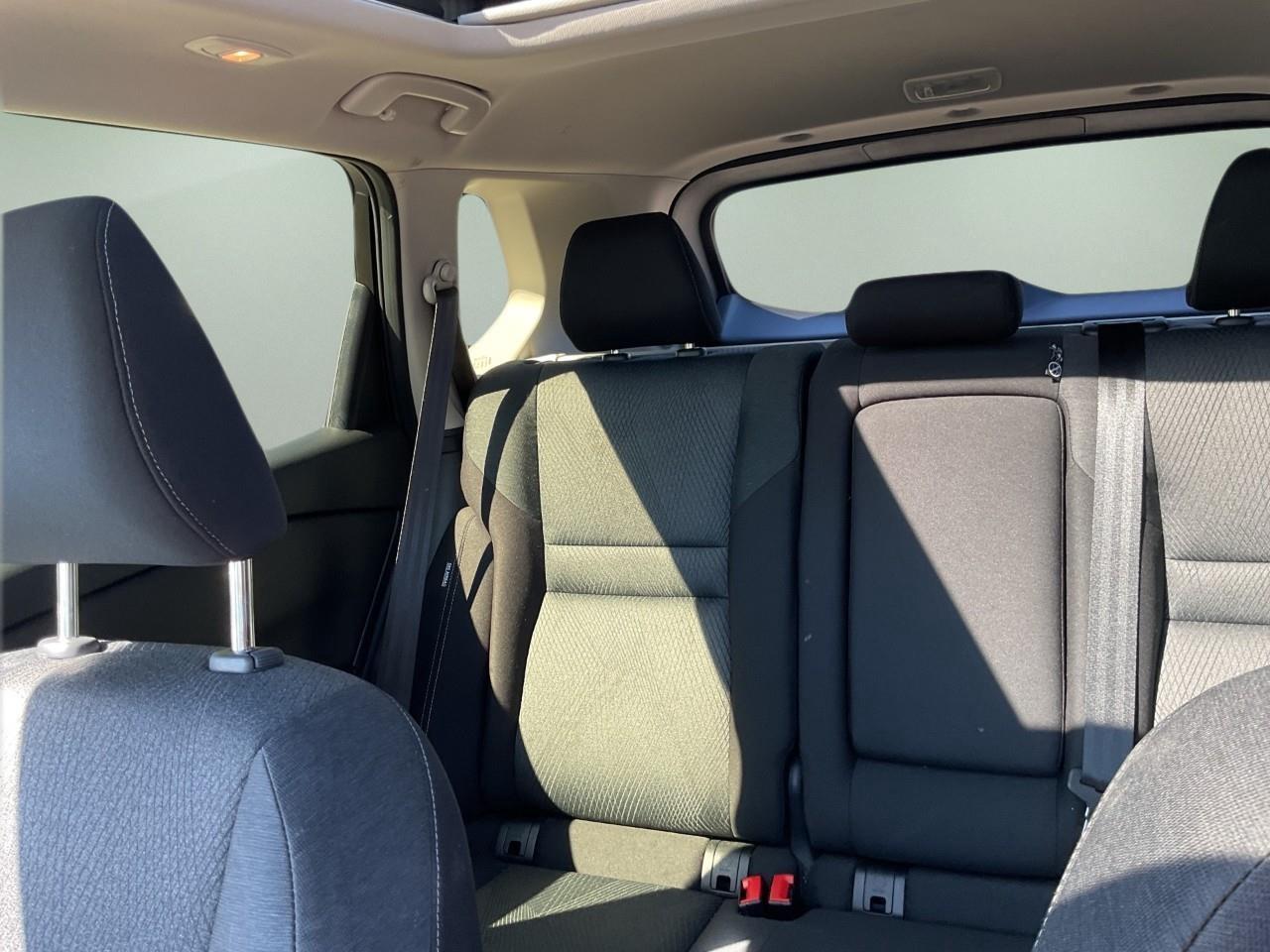 2025 Nissan Rogue  Photo