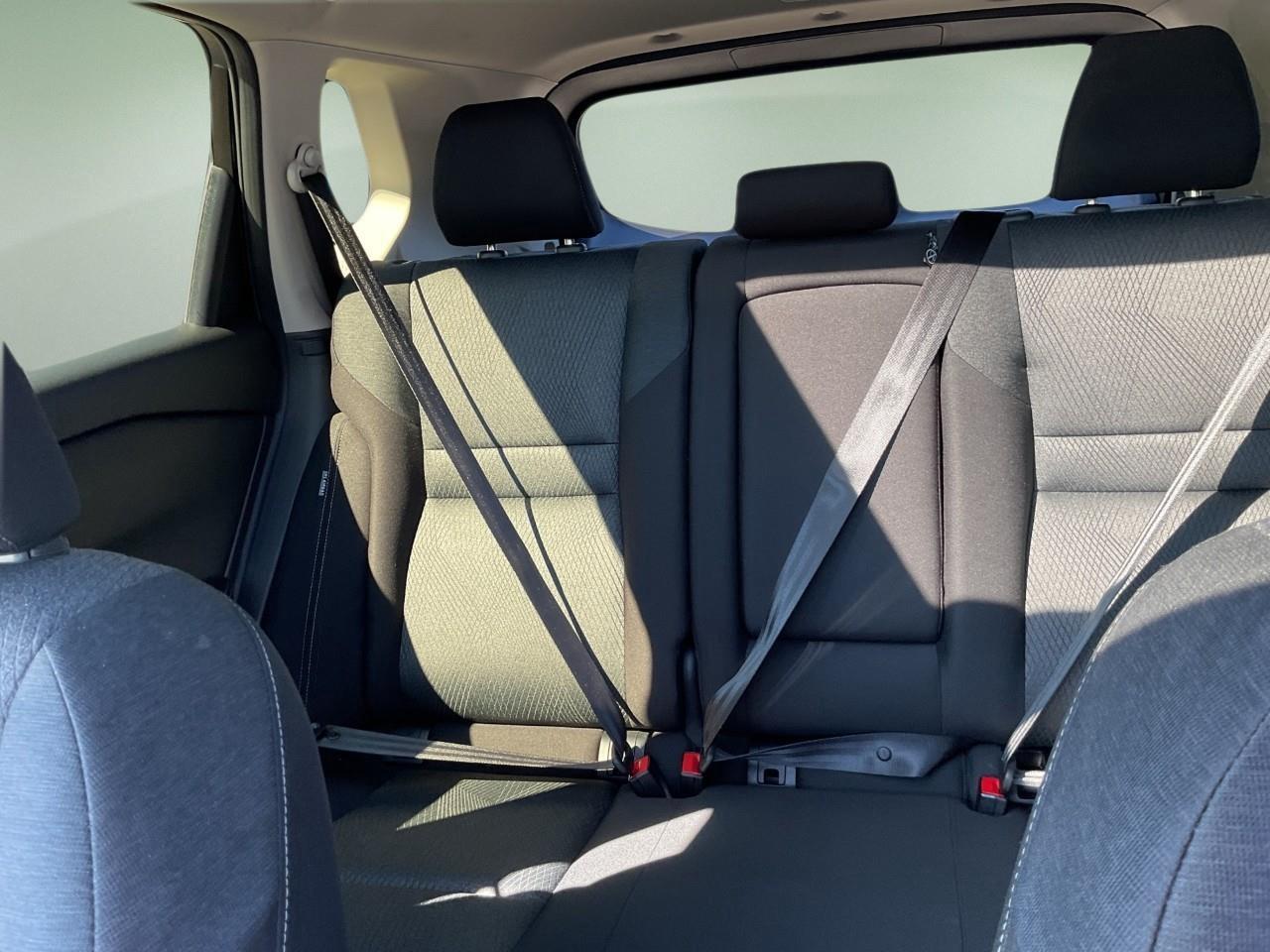 2025 Nissan Rogue  Photo