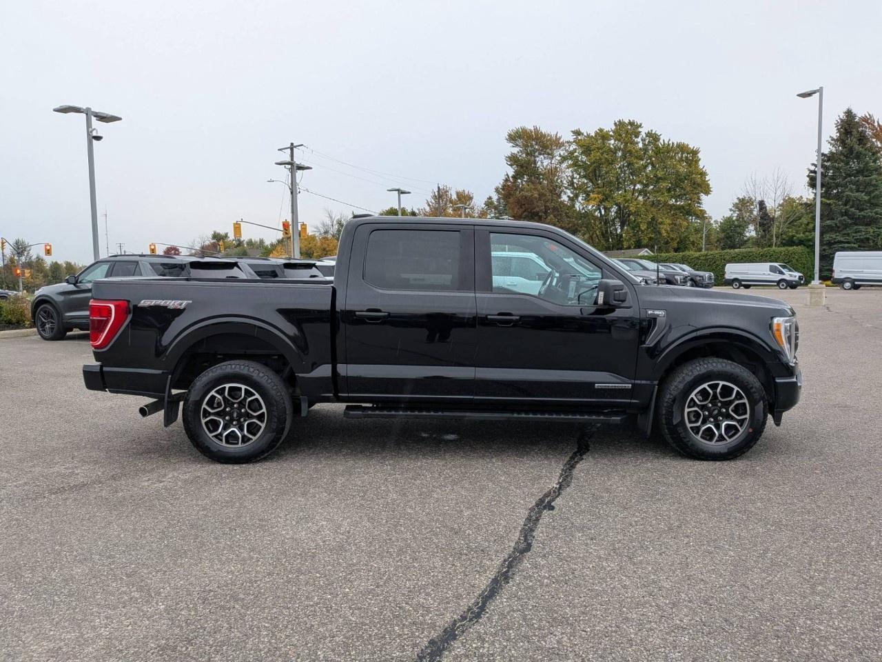 2023 Ford F-150  Photo3