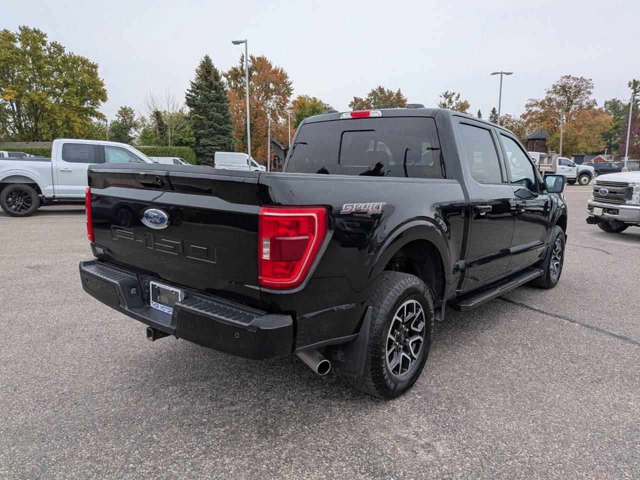 2023 Ford F-150  Photo