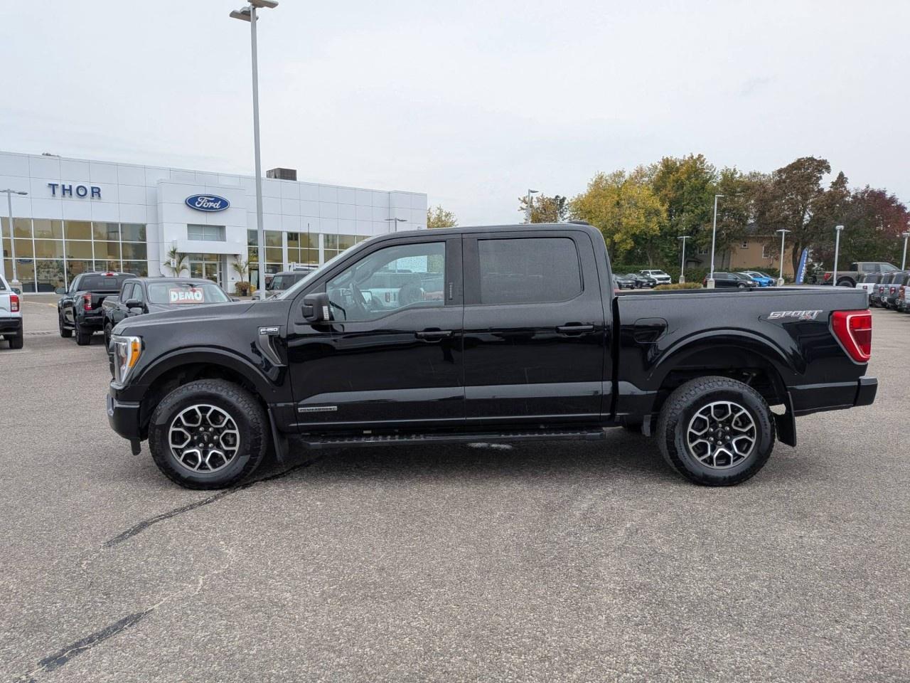 2023 Ford F-150  Photo