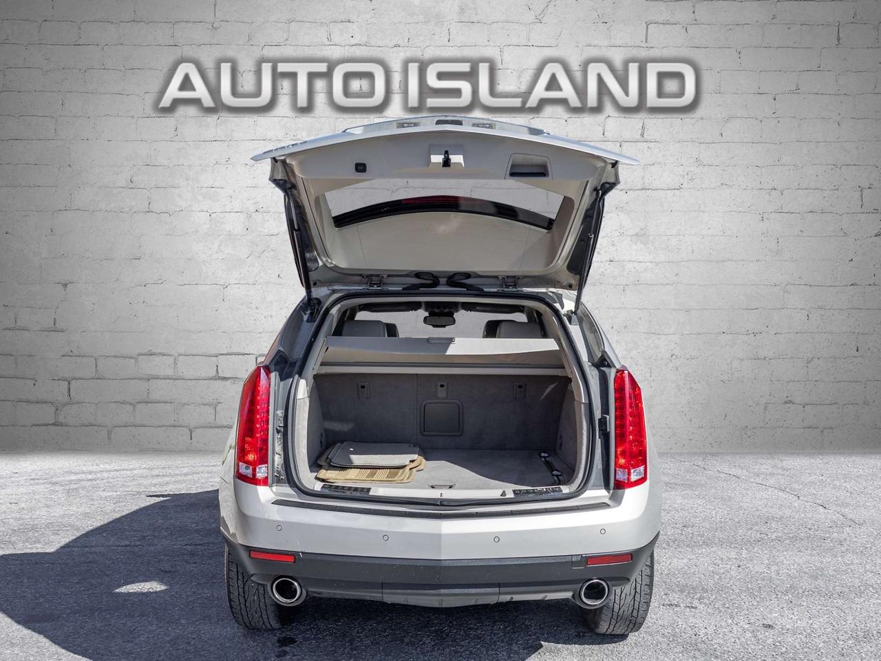 2010 Cadillac SRX AWD Luxury Collection Photo