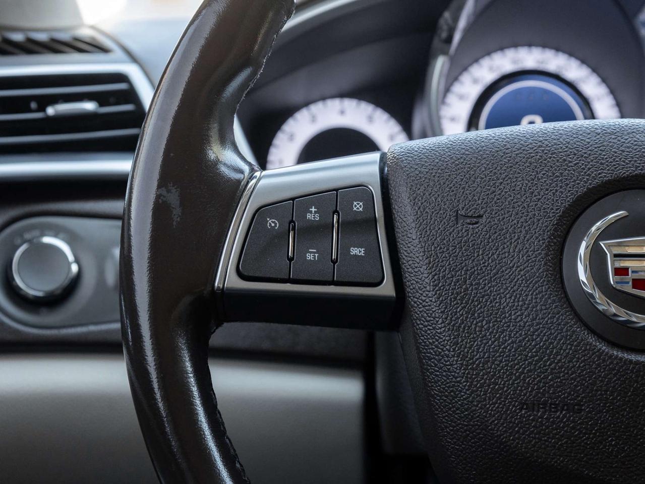 2010 Cadillac SRX AWD Luxury Collection Photo