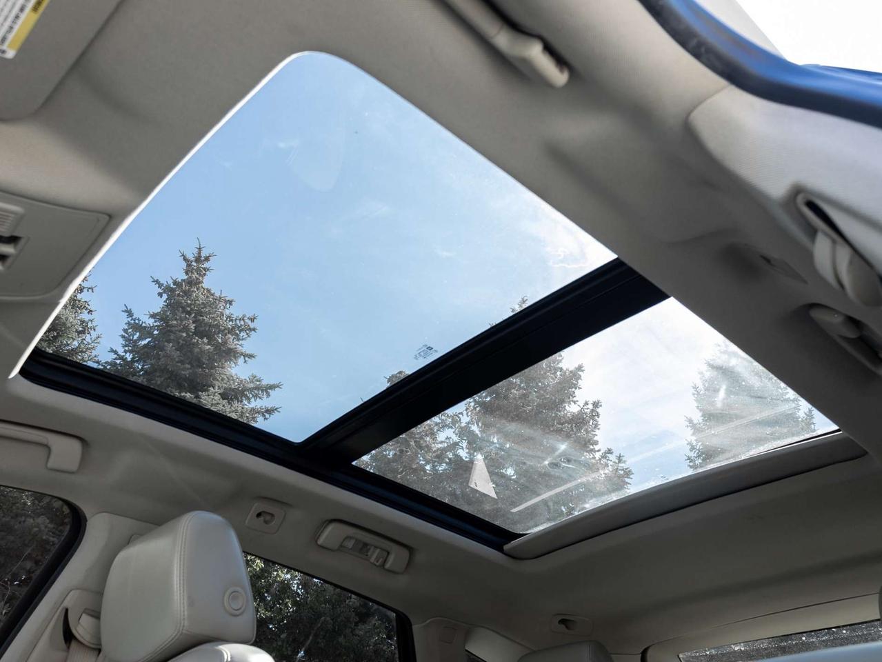 2010 Cadillac SRX AWD Luxury Collection Photo