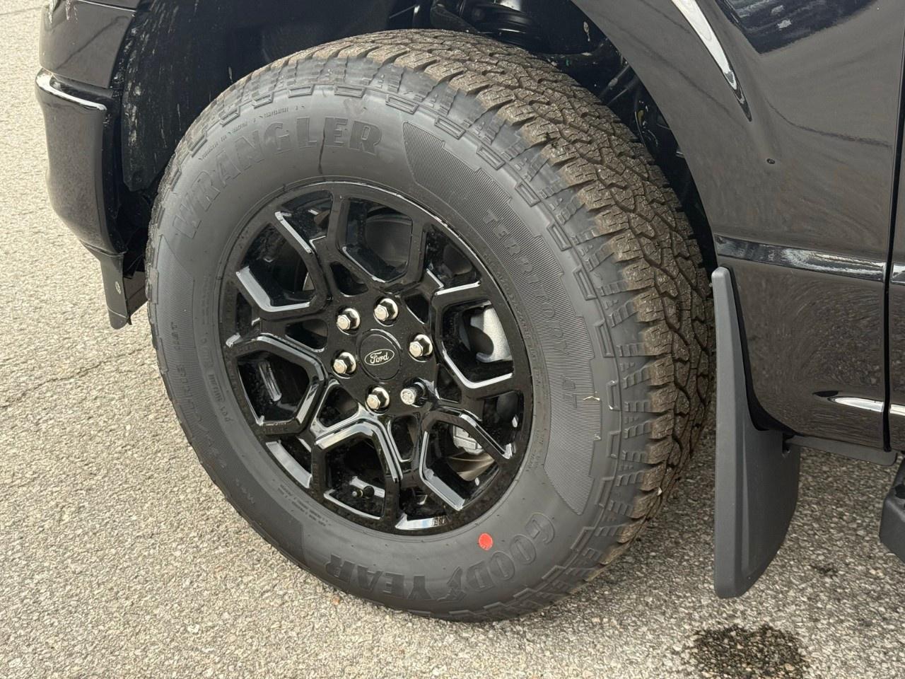 2026 Ford F-150 XLT 4WD SuperCrew 5.5' Box Photo