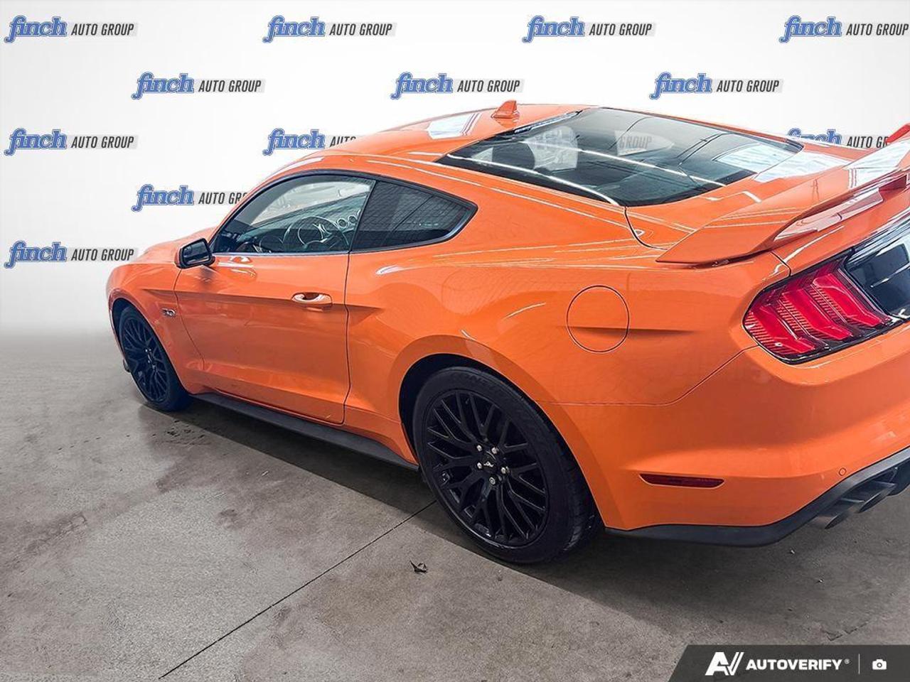 2020 Ford Mustang  Photo