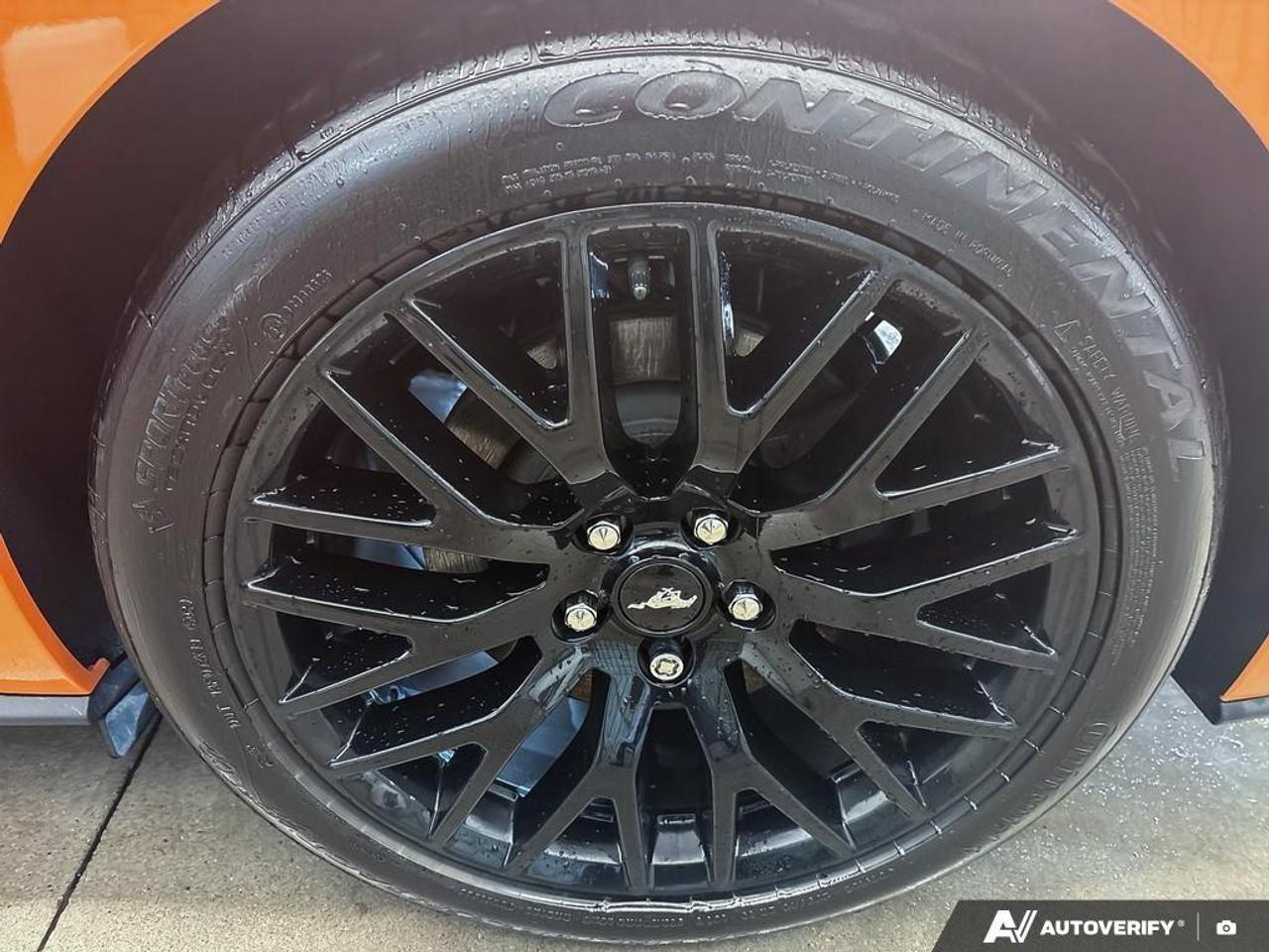 2020 Ford Mustang  Photo