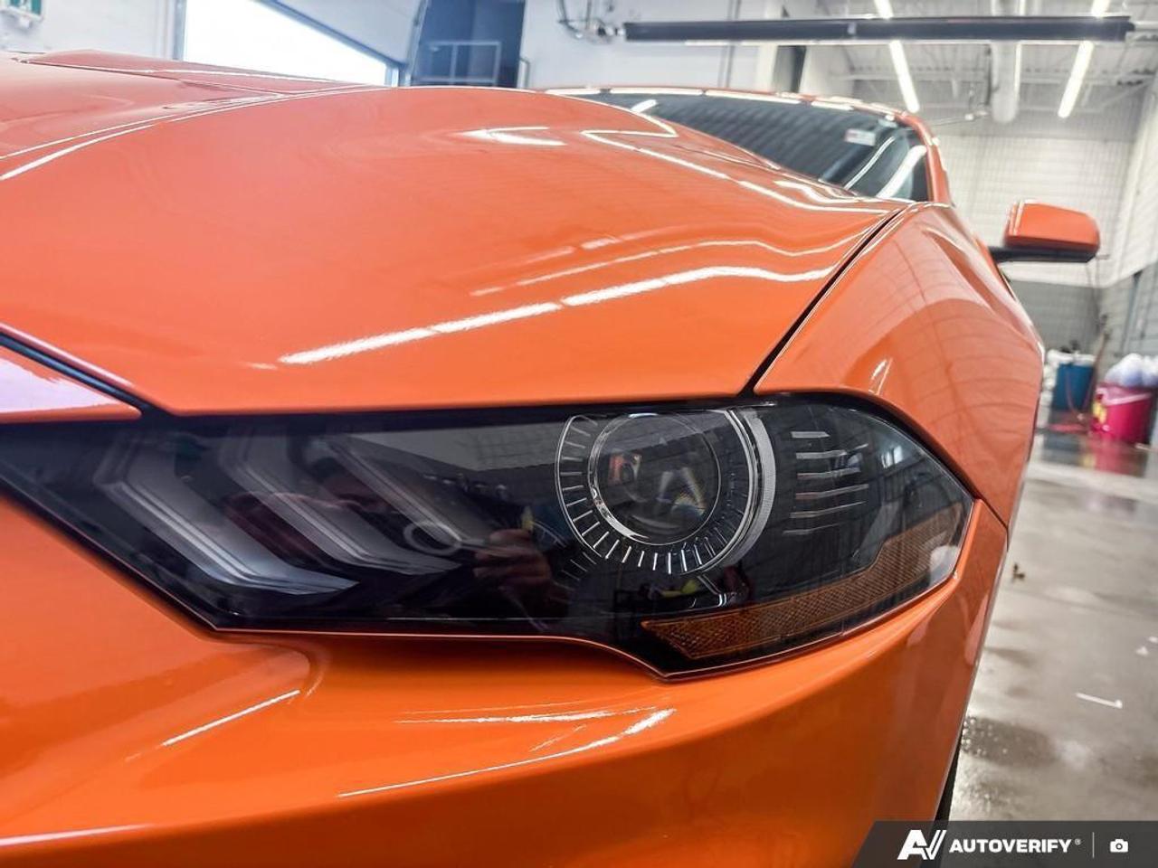 2020 Ford Mustang  Photo