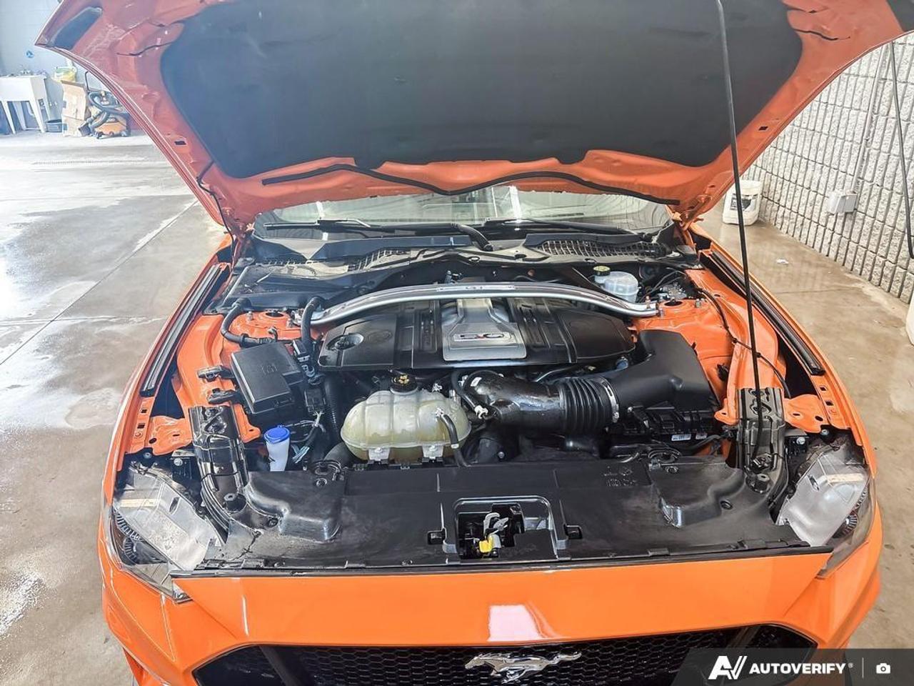 2020 Ford Mustang  Photo
