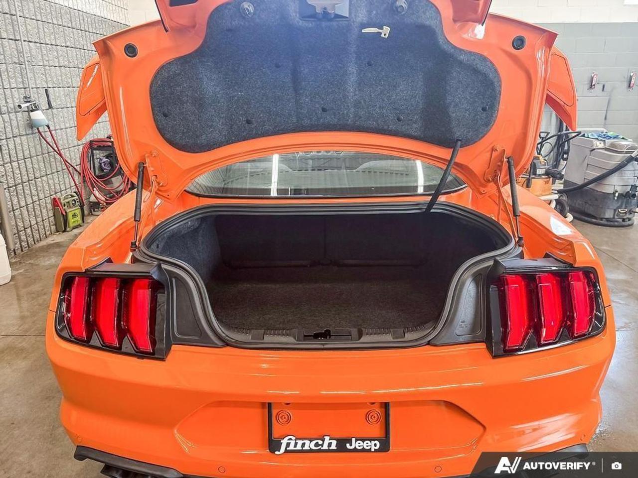 2020 Ford Mustang  Photo