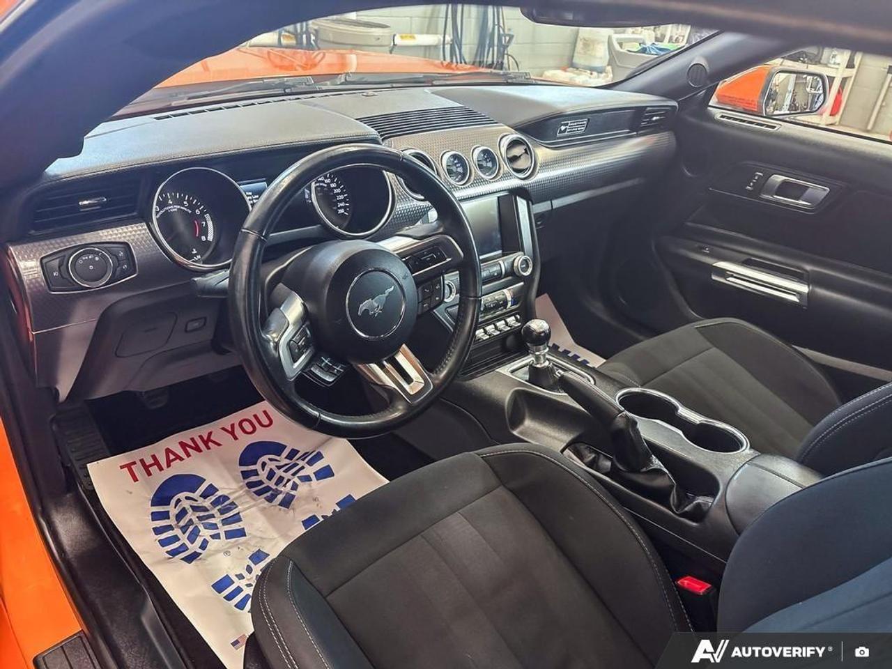 2020 Ford Mustang  Photo
