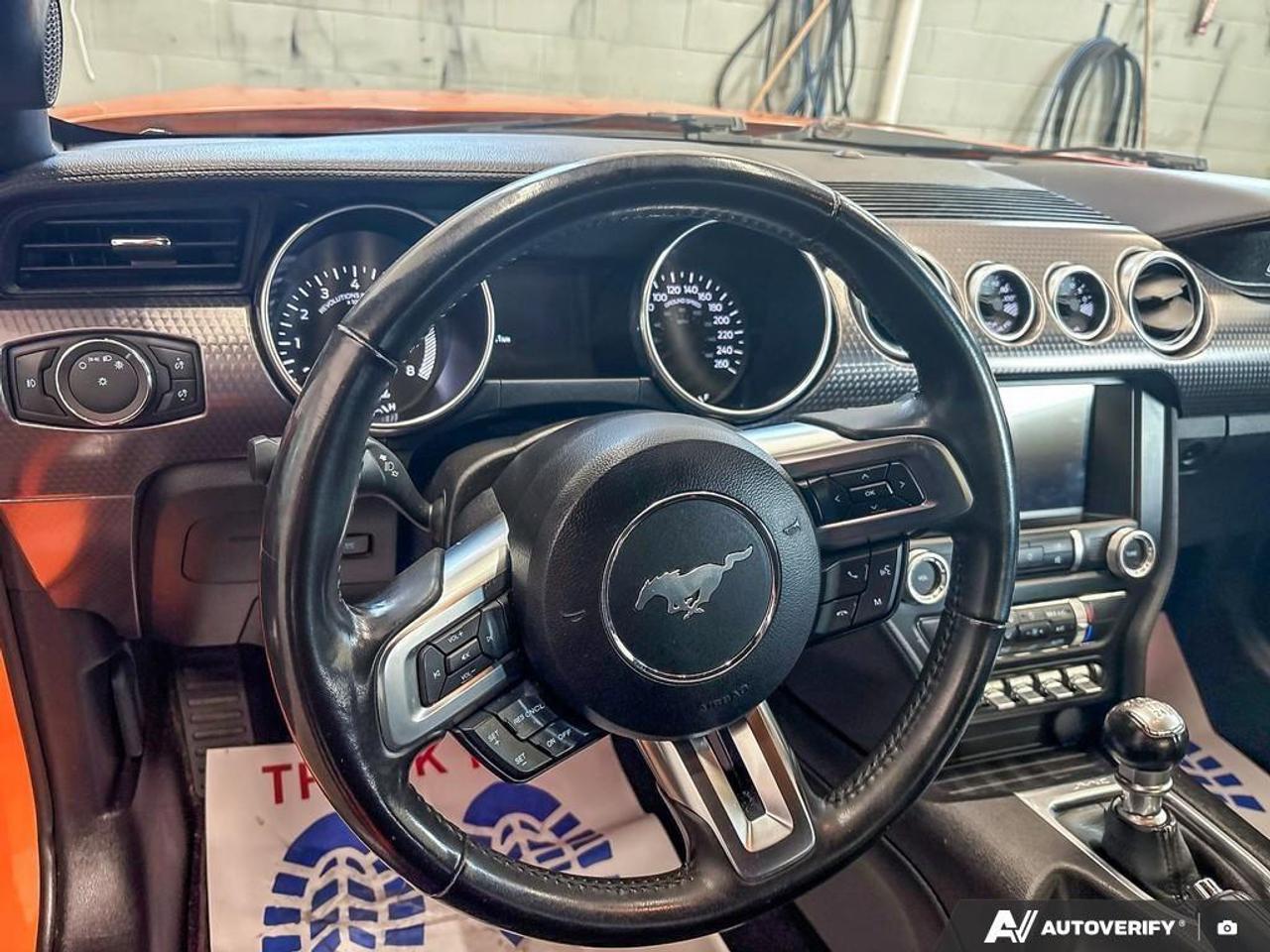 2020 Ford Mustang  Photo