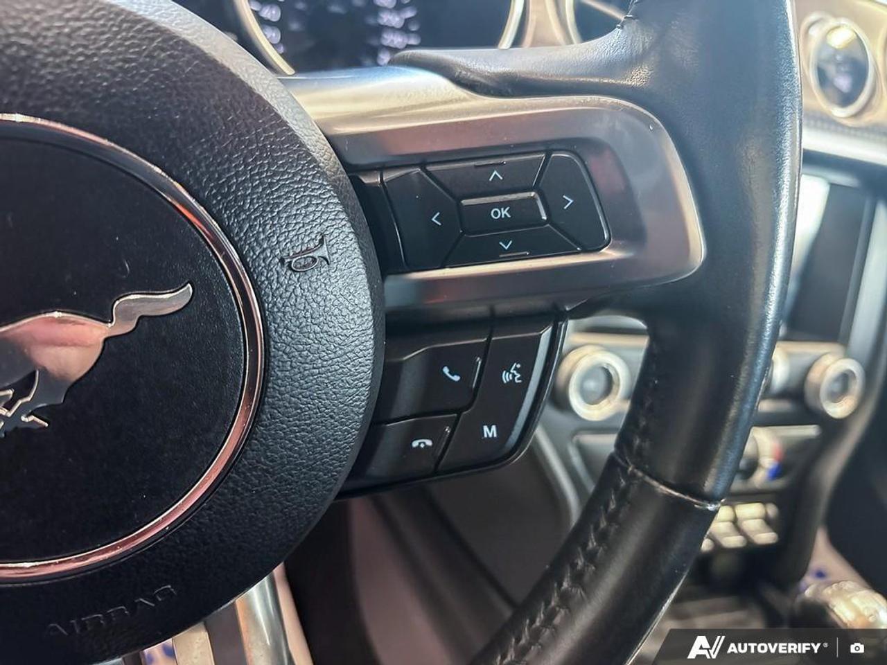 2020 Ford Mustang  Photo