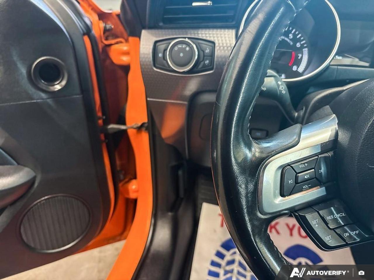2020 Ford Mustang  Photo