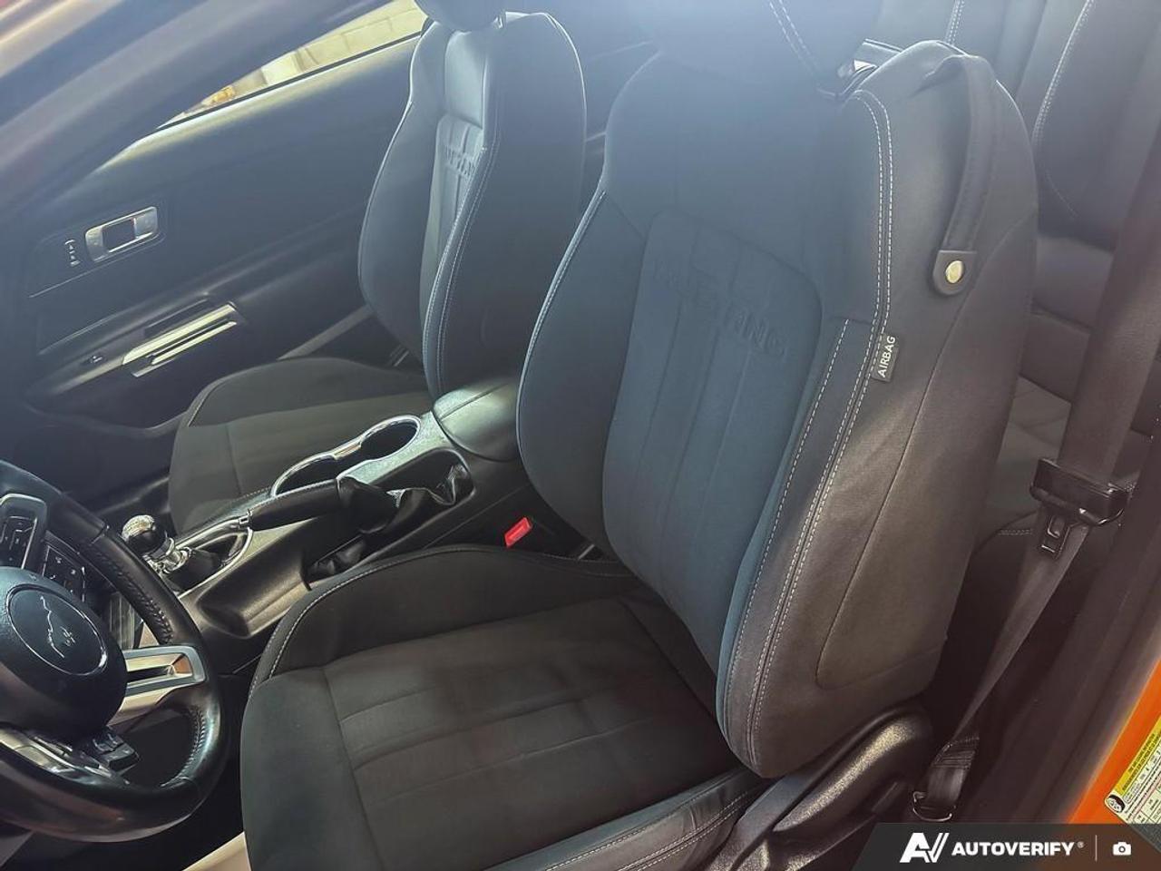 2020 Ford Mustang  Photo