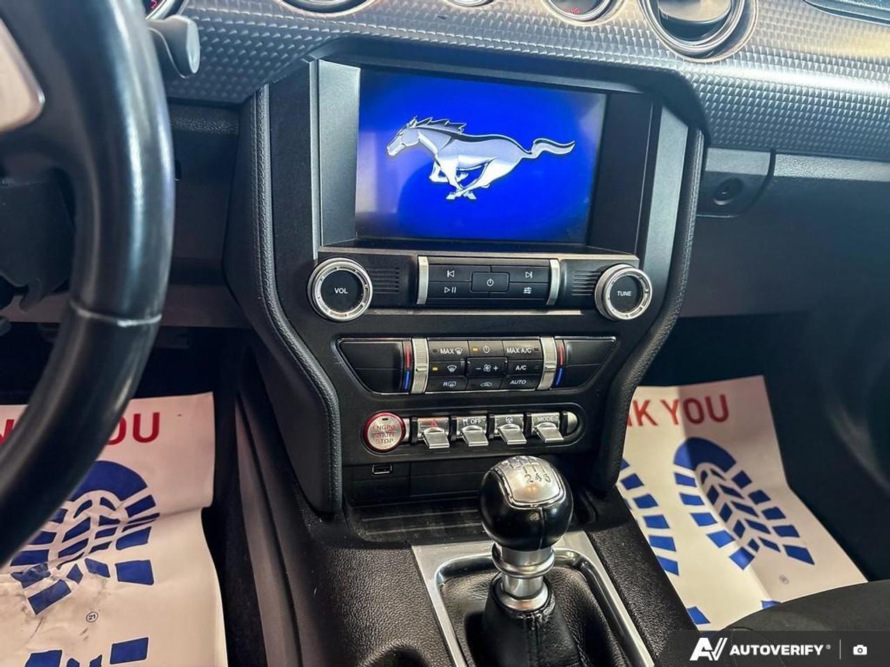 2020 Ford Mustang  Photo