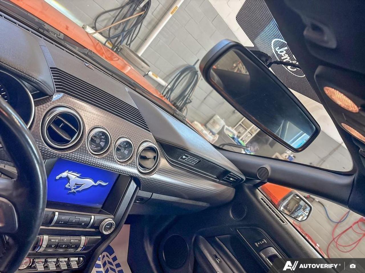 2020 Ford Mustang  Photo
