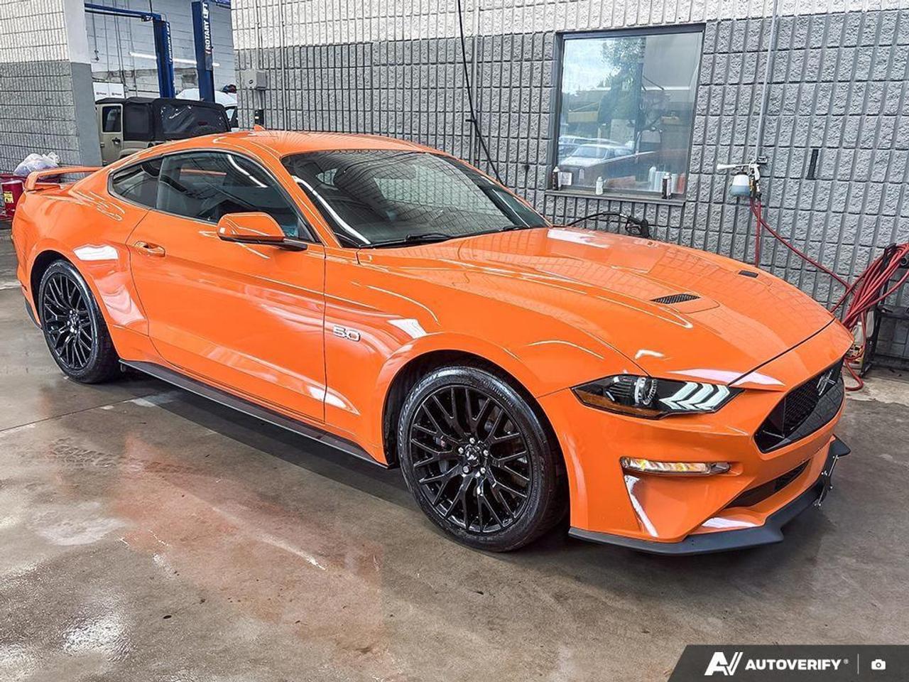 2020 Ford Mustang  Photo