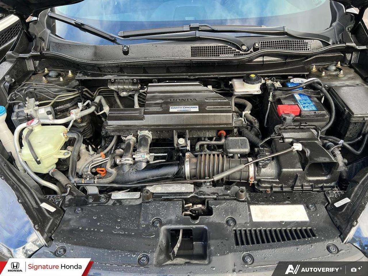 2020 Honda CR-V LX Photo