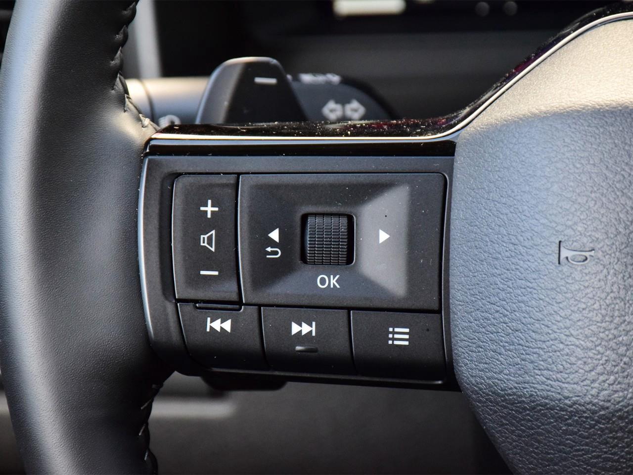 2025 Nissan Rogue Platinum 4dr All-Wheel Drive Sport Utility Photo
